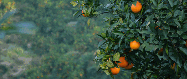 ΢ͼƬ_20211109102120.gif